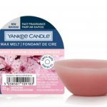 Ekologia w szamponach Davines